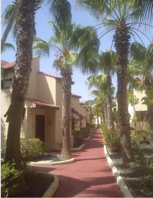 Relax A 10 Minuti Da Corralejo Villa Parque Holandes Bagian luar foto